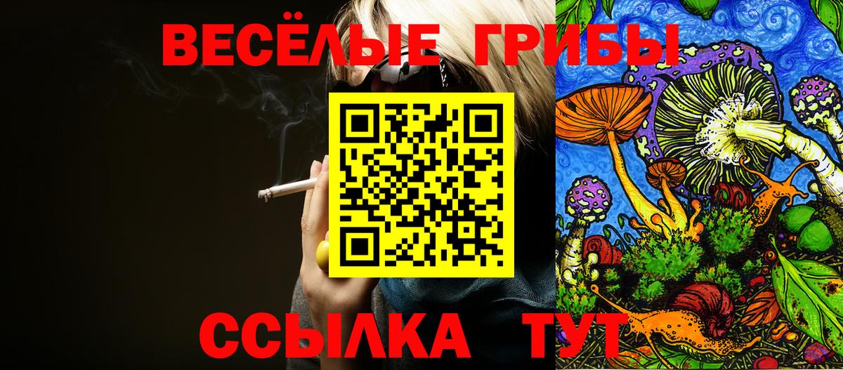 где купить наркоту  Вход с VPN  Вольск  Псилоцибиновые грибы Magic Shrooms 